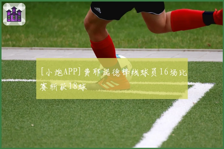 [小炮APP]费耶诺德锋线球员16场比赛斩获18球